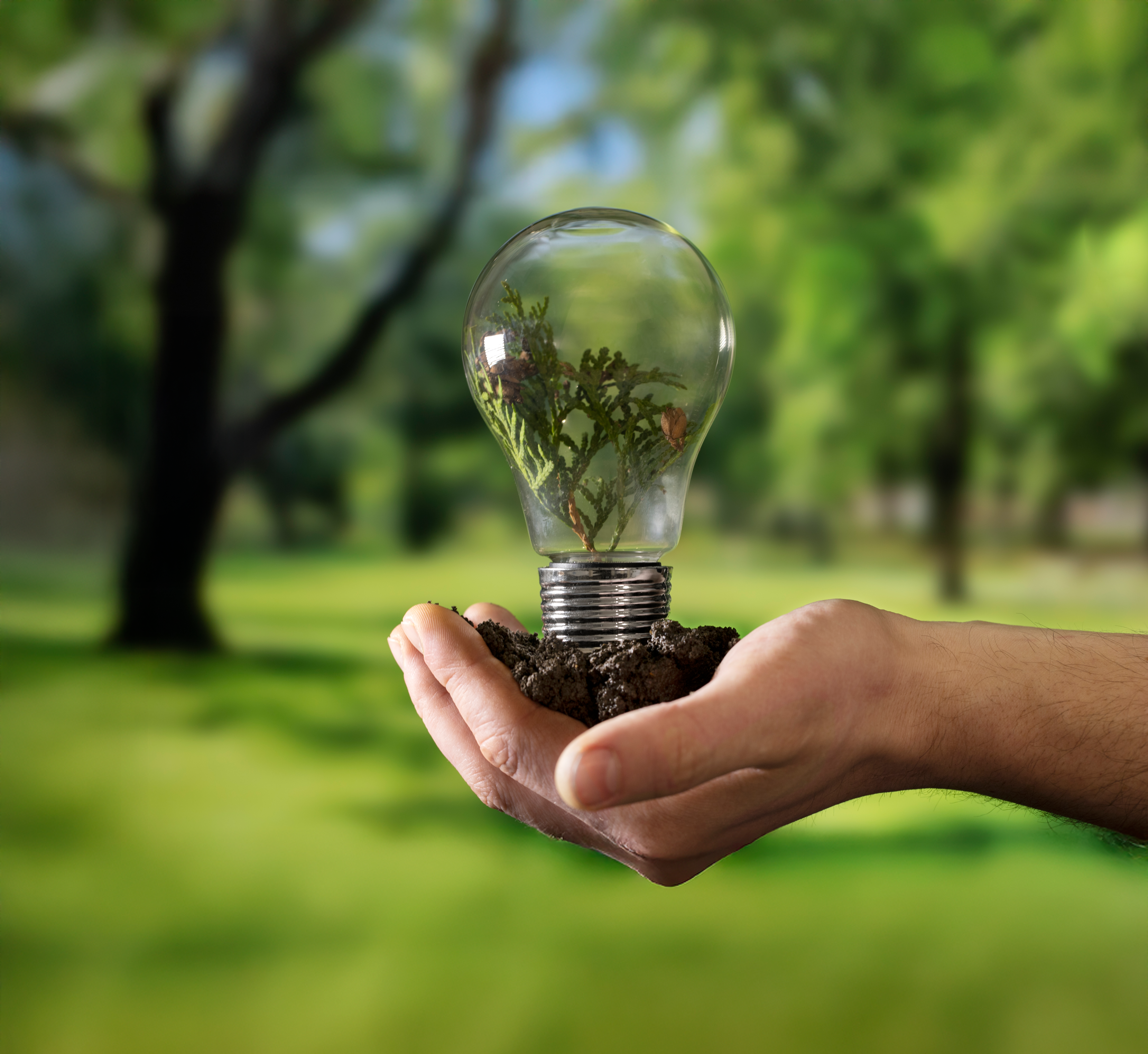 World Energy Day | May 29